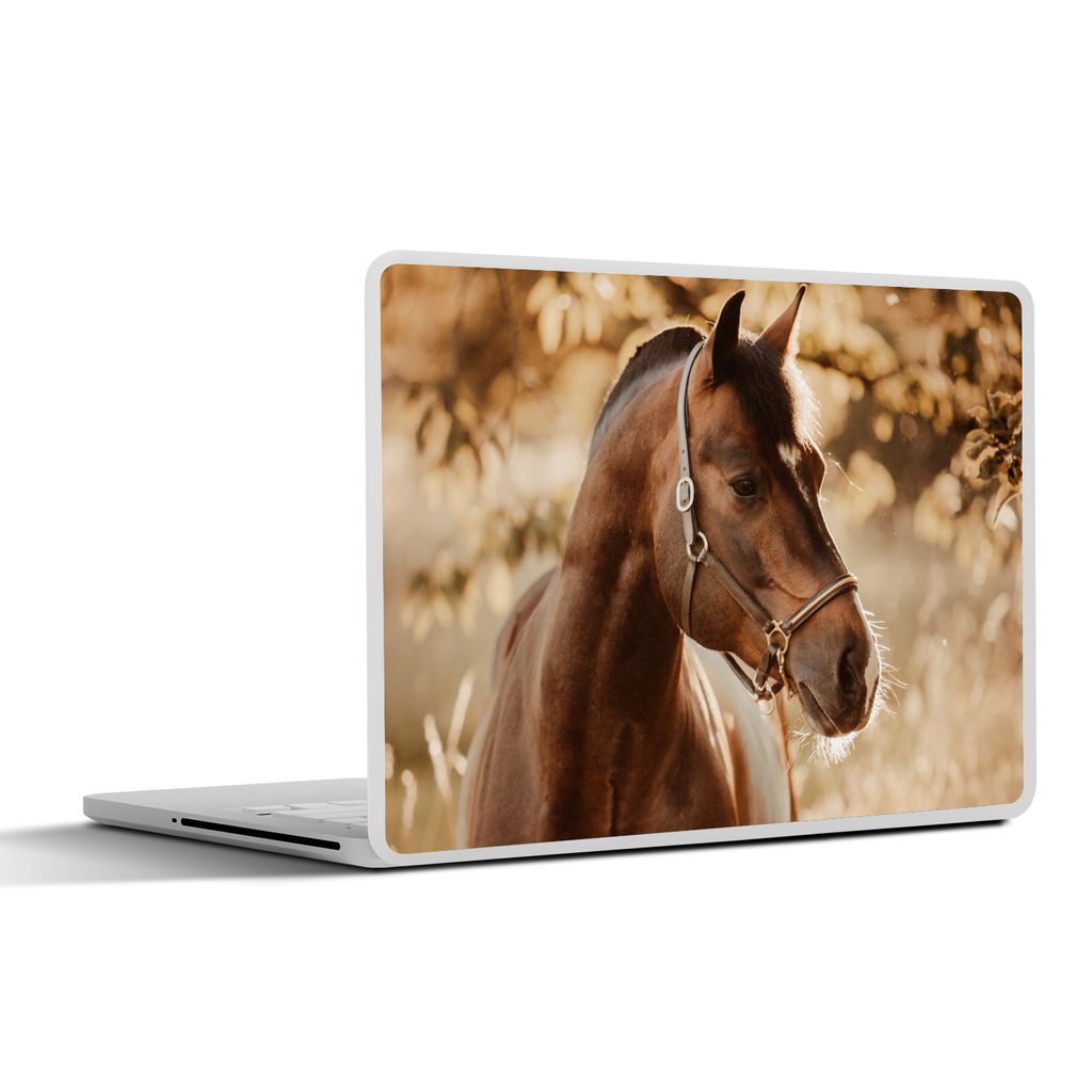 MuchoWow Laptop Aufkleber Sticker Cover Pferd - Sonne - Porträt - Natur - Braun 31x22.5 cm - Laptop-Deko