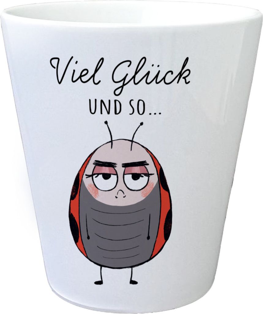 Marienkäfer Blumentopf mit Spruch Viel Glück und so