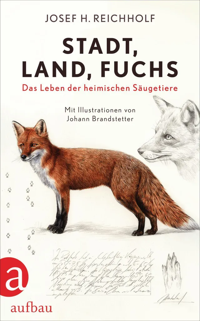 Stadt Land Fuchs : Fini les pannes d'idées pour vos jeux de groupe