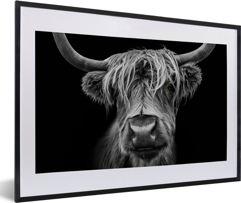 MuchoWow Gerahmtes Poster Schottischer Highlander - Hörner - Schwarz - Weiß - Kuh - Wild - Tiere 60x40 cm - Poster mit Schwarzem Bilderrahmen W...