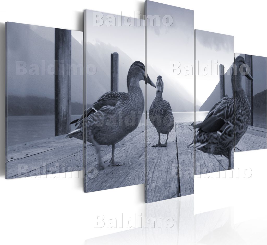 Modernes Wandbild 030216- 11 (100x50) - 5 Teilig Bilder Fotografie auf Vlies Leinwand Foto Bild Dekoration Wand Bilder Kunstdruck Natur