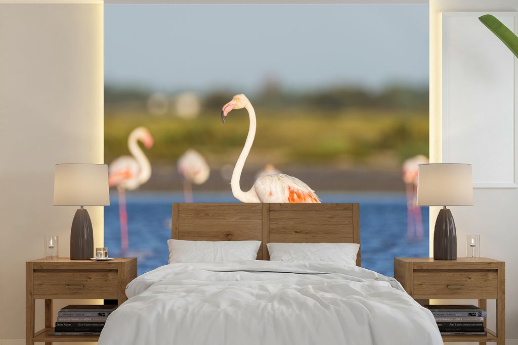 MuchoWow Fototapete für Wohnzimmer oder Schlafzimmer Wandtapete Vinyl Motivtapete Eine Gruppe von Flamingos im Wasser - 220x220 cm - Tapeten