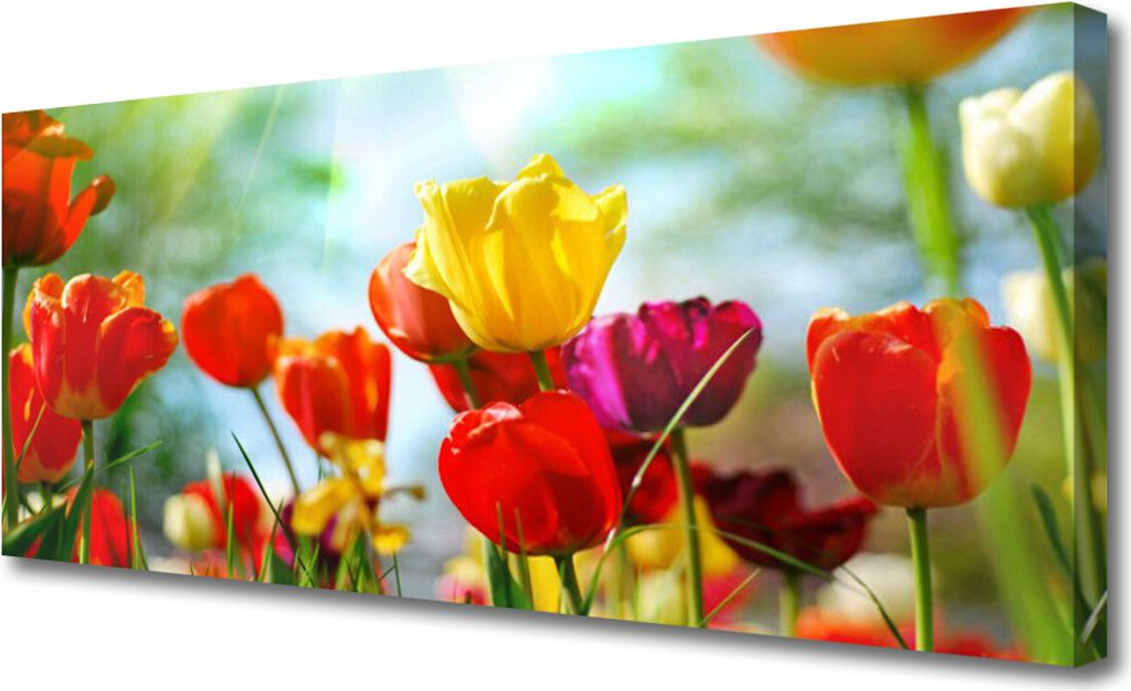 Tulup Leinwand-Bilder 125x50 Wandbild Canvas Kunstdruck Blumen Pflanzen