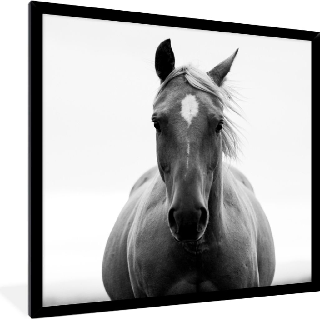 MuchoWow Gerahmtes Poster Pferd - Schwarz - Weiß - Porträt 40x40 cm - Poster mit Schwarzem Bilderrahmen Wandposter Rahmen Foto Bilder - Mit Rah...