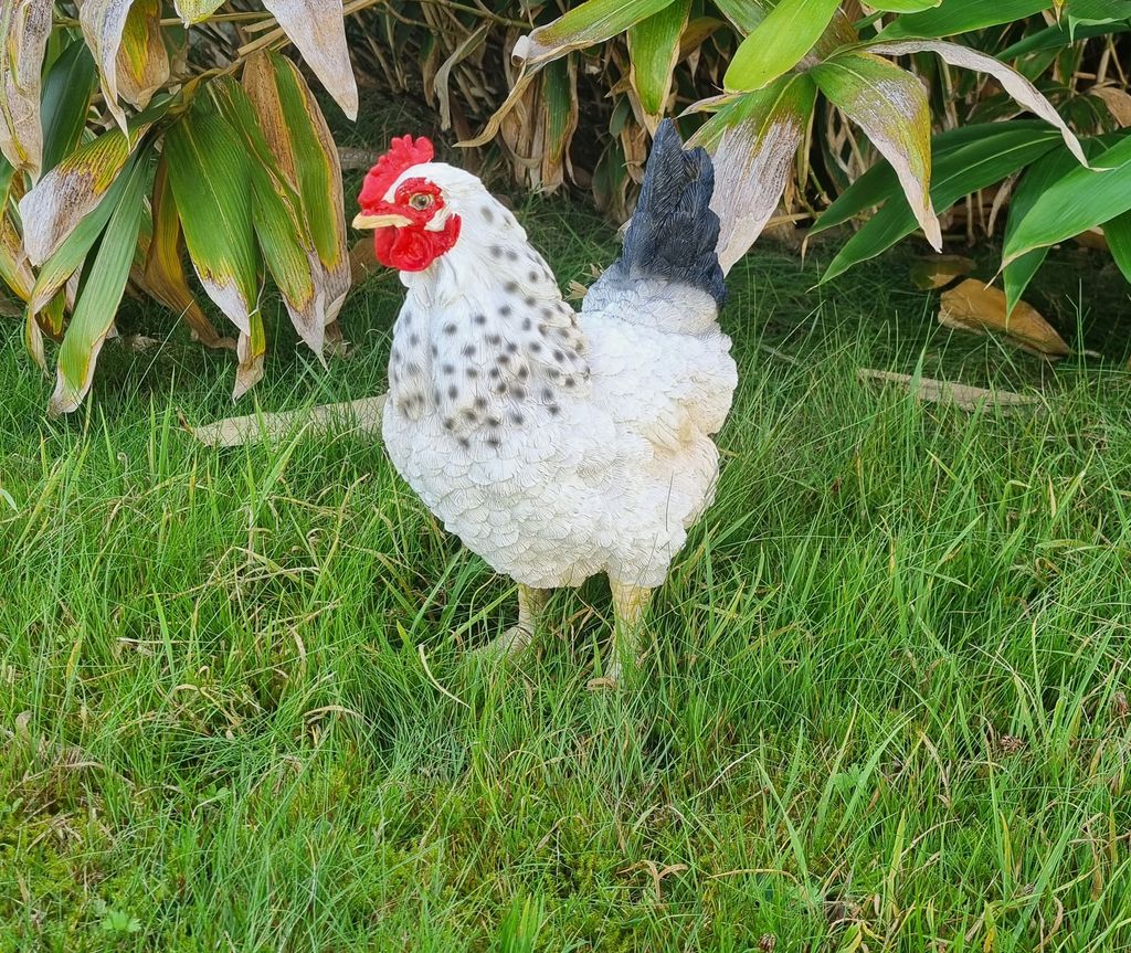 Dekofigur Henne Huhn Eva lebensechte Gartenfigur Tierfigur Produktbild 