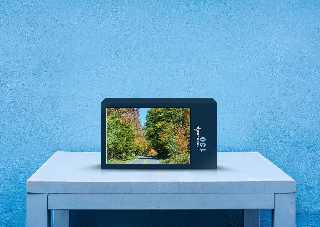 hansepuzzle 34997 - Neu england Puzzle, 130 Teile, Natur, 28,7 x 20,0cm mit hochwertiger Aufbewahrung, Kartonbox und wiederverschließbarem Beutel