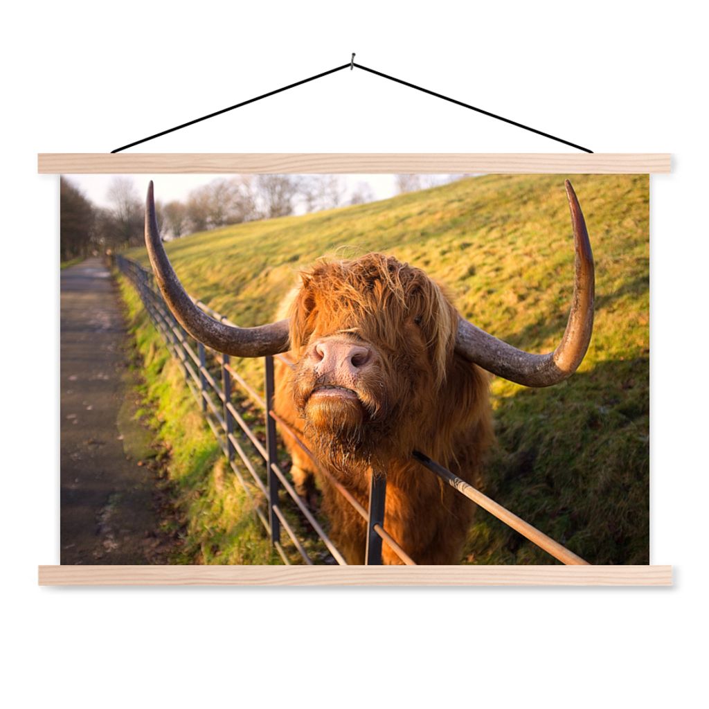MuchoWow Textilposter Scottish Highlander - Zaun - Gras 60x40 cm mit holzfarbenen Rahmen - Bilder