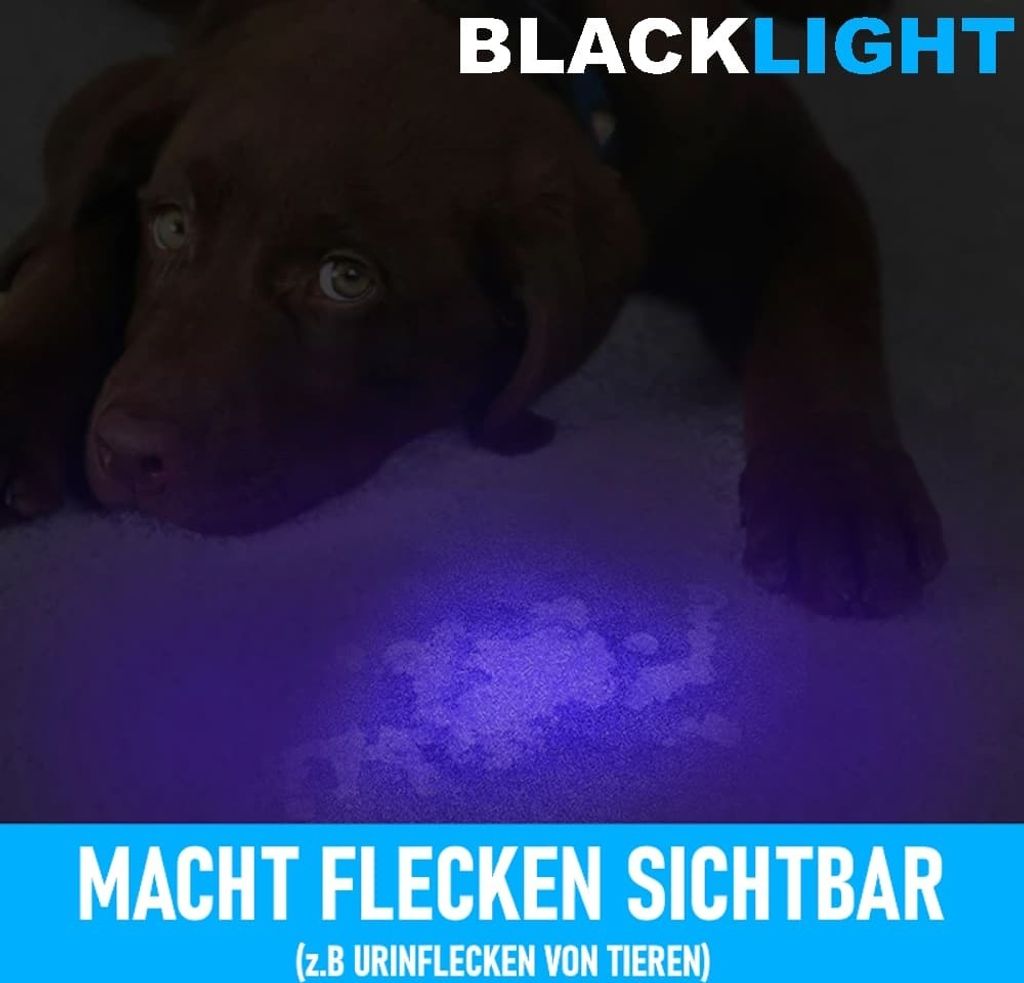 Torcia UV A Luce Nera 21 LED - 395 NM, Portatile In Metallo, Per Rilevare Macchie Di Urina, Cimici E Animali Domestici