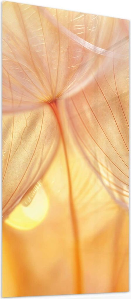 Glasbild 60x120cm in XXL für Wohnzimmer, Schlafzimmer Motiv Dandelion Makroaufnahme