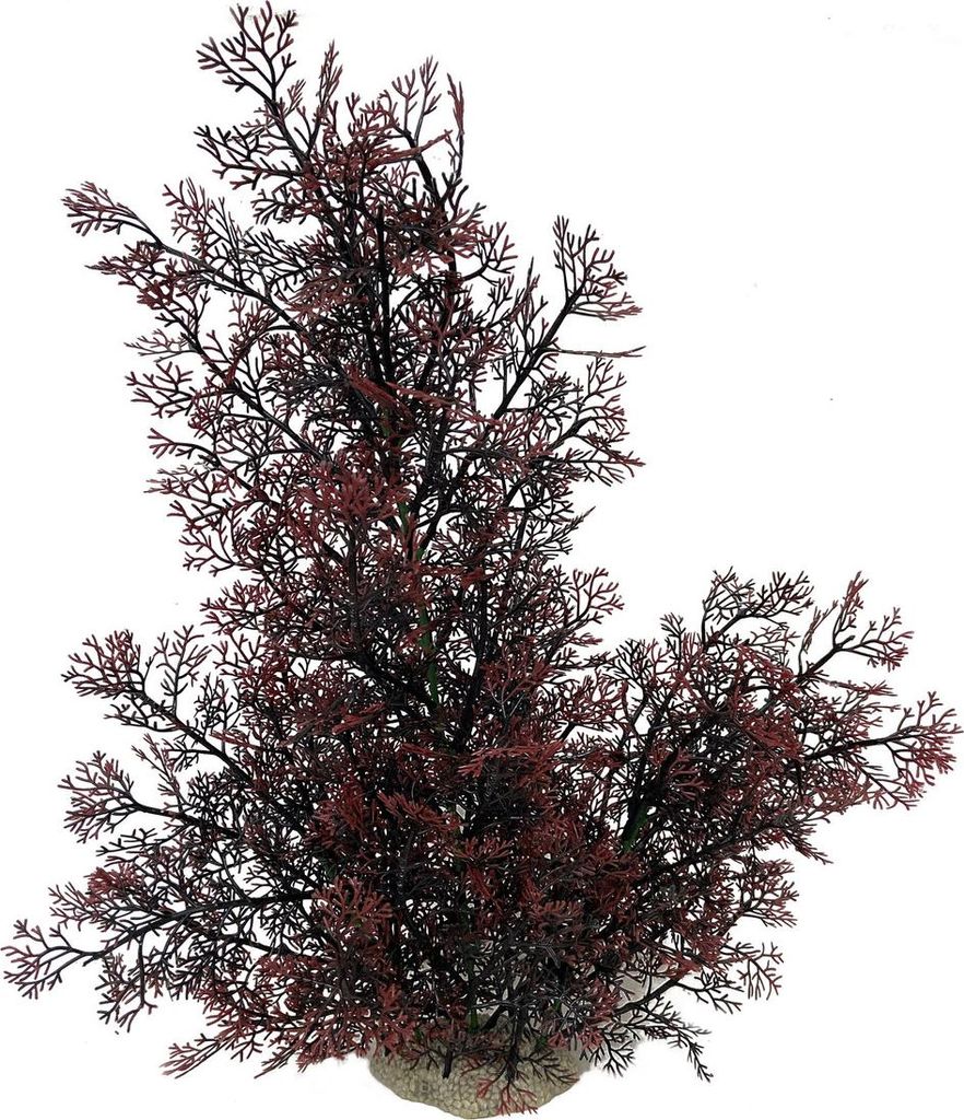 Aqua Della Aquarium Dekoration Phoenix rot