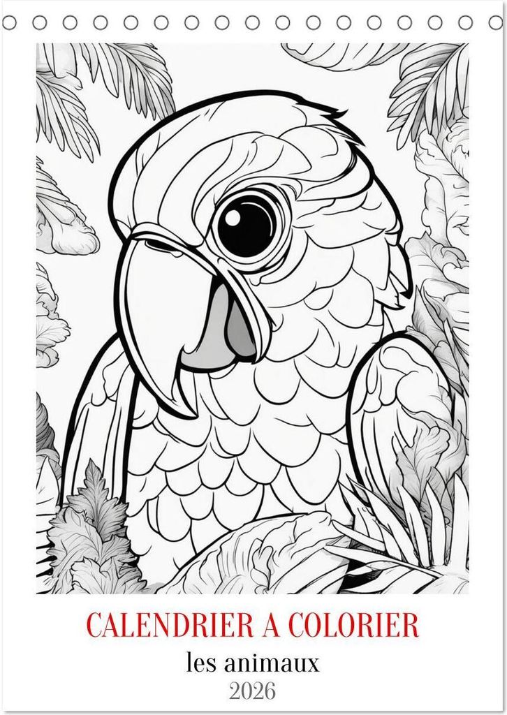 Calendrier à colorier (Calendrier de bureau 2026 DIN A5 horizontal), CALVENDO calendrier mensuel