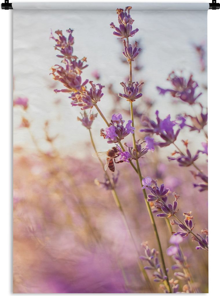 MuchoWow Wandteppich Wandbehang Lavendel - Nahaufnahme - Sonne - Blumen - Lila 60x90 cm Tapisserie Dekoration Wandtuch - Foto-Teppich - Abwaschbar