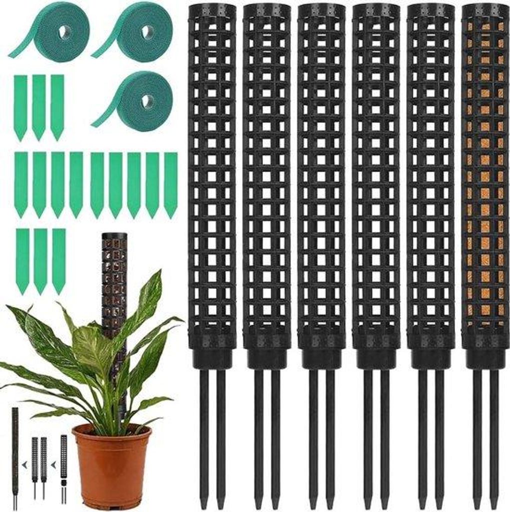 Famanu Pflanzenstütze für Monstera - 6 Stück Produktbild 