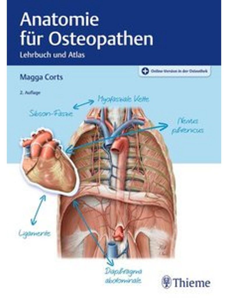 Anatomie für Osteopathen