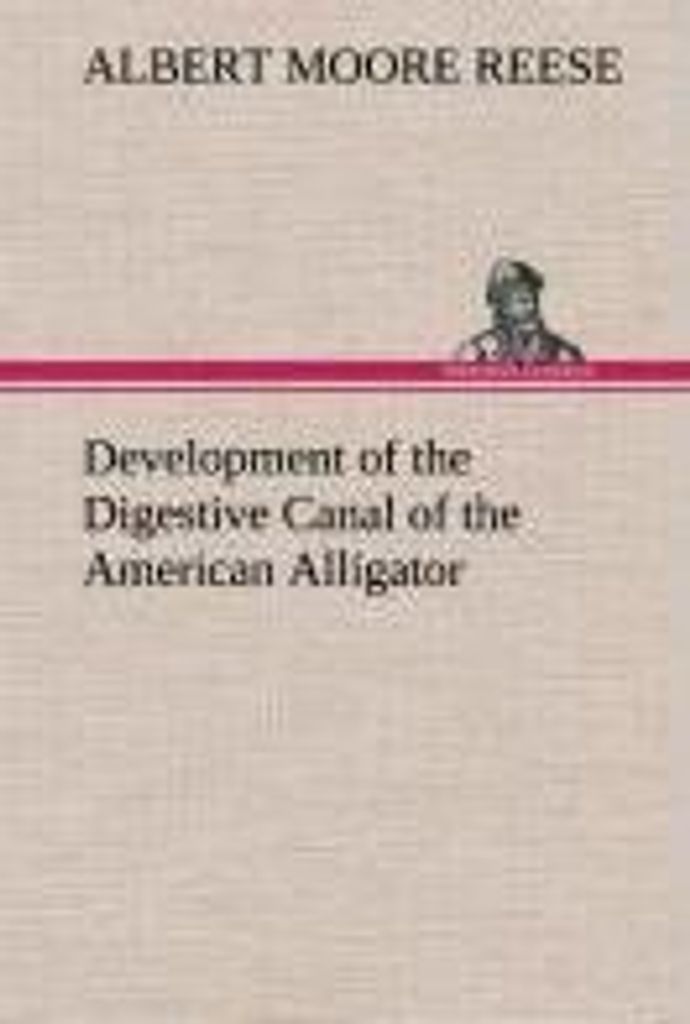 Development of the Digestive Canal of the American Alligator