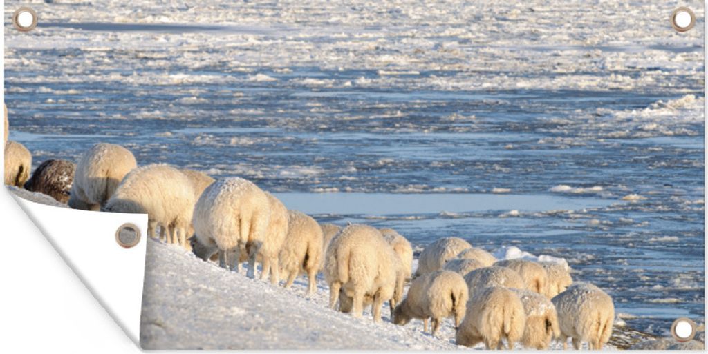 MuchoWow 80x40 cm Outdoor-Poster Gartendeko Sichtschutz Garten Poster für den Garten Schafe - Watteninseln - Meer