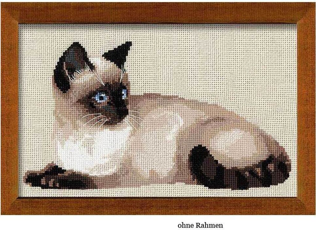 Kit per punto croce a contorno Riolis "Gatto Siamese", tela Immagine del prodotto 