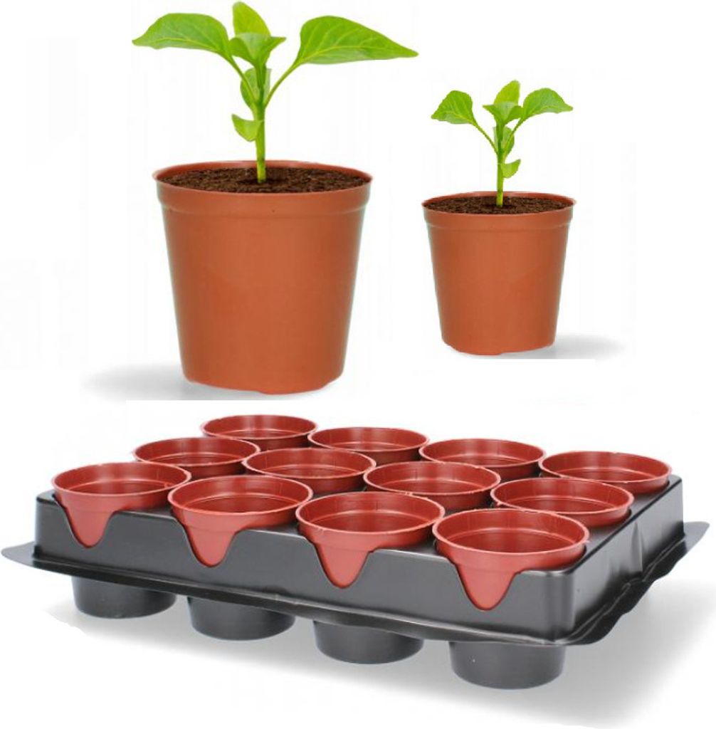 Gardenline Set Mit 12 Töpfen + Untertasse Eda3083 Produktbild 