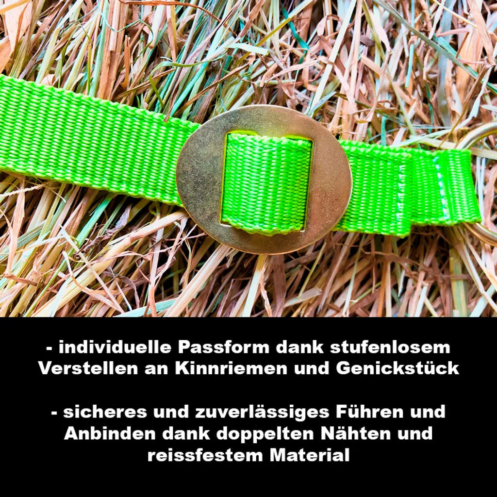 Licol XFull vert clair réglable : la solution pour chevaux de trait - 3