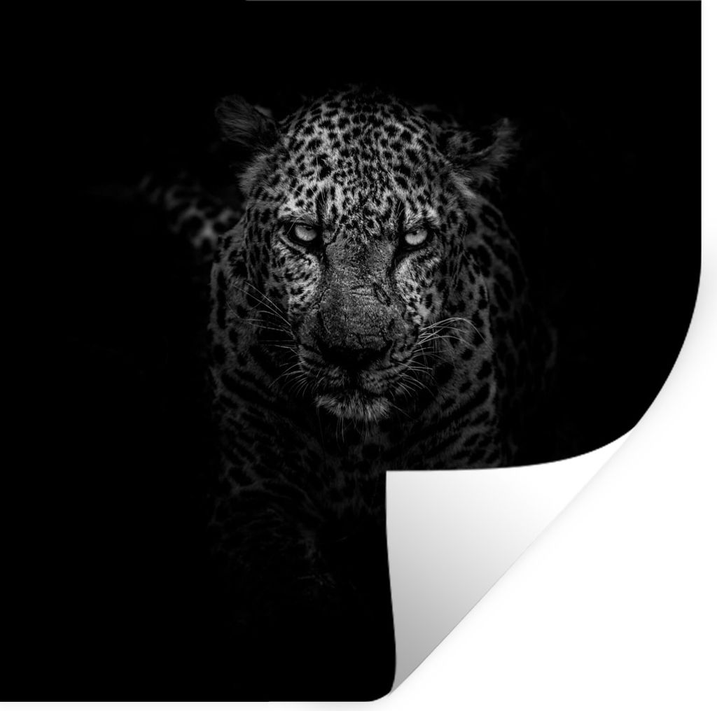MuchoWow Wandtattoo Wandsticker Wandaufkleber Leopard - Schwarz - Weiß 100x100 cm Selbstklebend und Repositionierbar - Wierderverwendbar - Selbs...