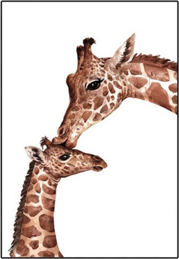 TPFLiving Kunstdruck LW-951 (OHNE RAHMEN) Poster - Leinwand - Wandbild - Hochauflösender Giclée-Druck, langlebig und hochwertig - Lustige Giraffe...