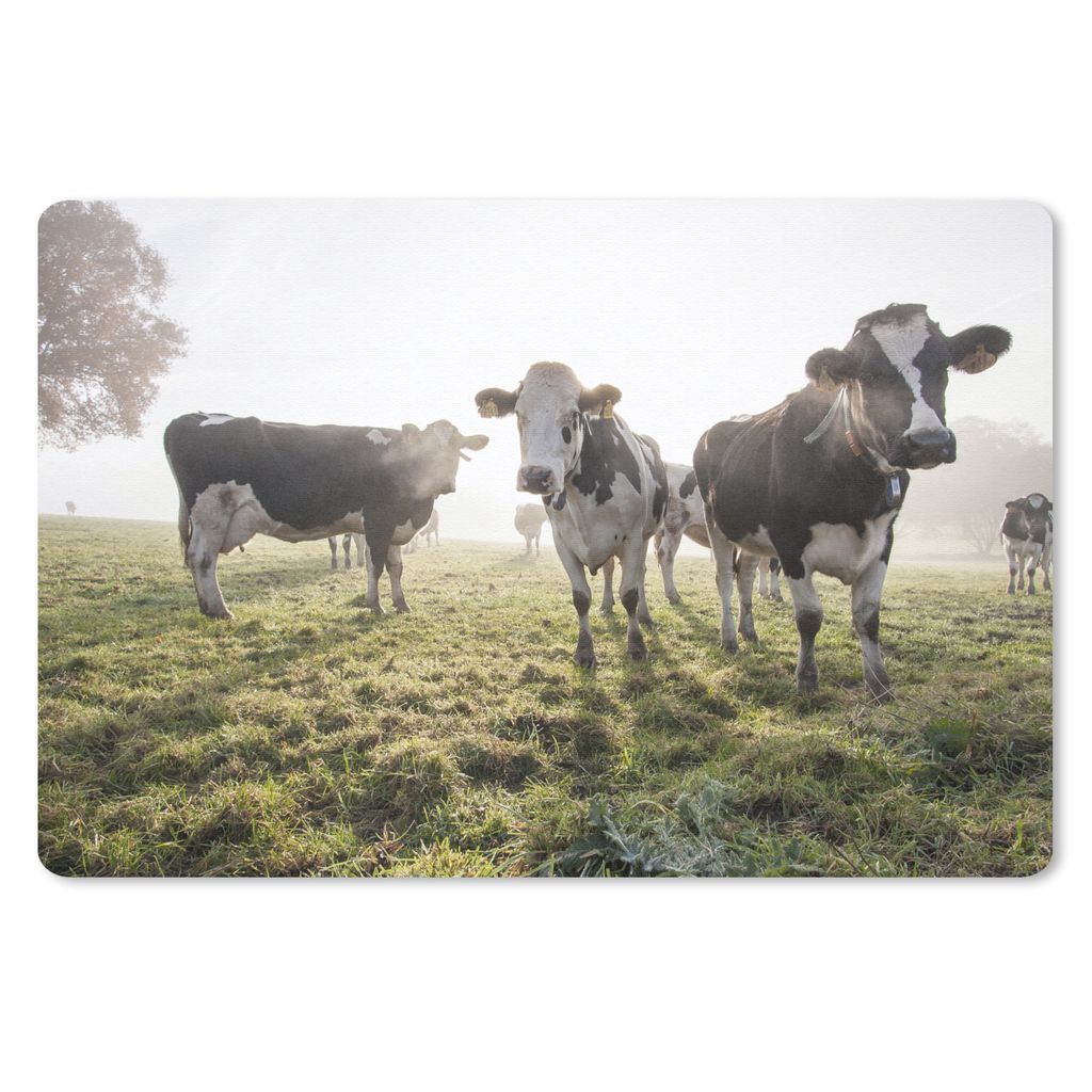 MuchoWow Schreibtischunterlage Kuh - Gras - Nebel 60x40 cm - XXL Mauspad - Großes Mauspad