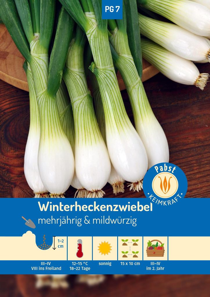 Artikelbild 1 von 'Winterheckenzwiebel Freddy' aus der Kategorie Zwiebelsamen