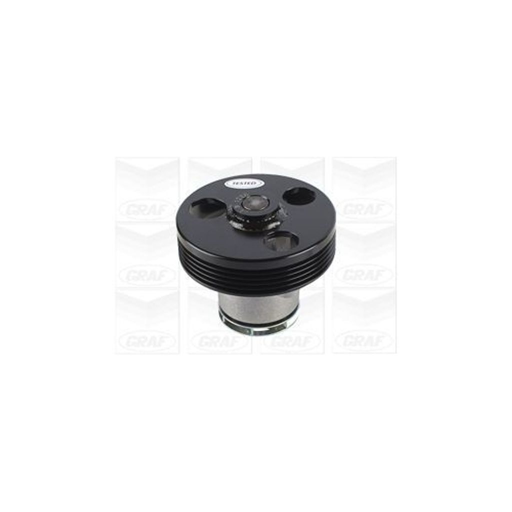 Wasserpumpe Graf PA1220 für Audi