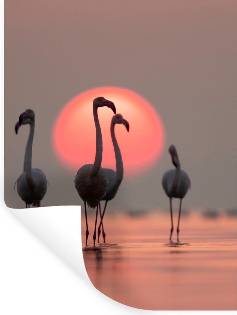 MuchoWow Wandtattoo Wandsticker Wandaufkleber Vogel - Flamingo - Sonnenuntergang - Rosa 60x80 cm Selbstklebend und Repositionierbar - Repositioni...