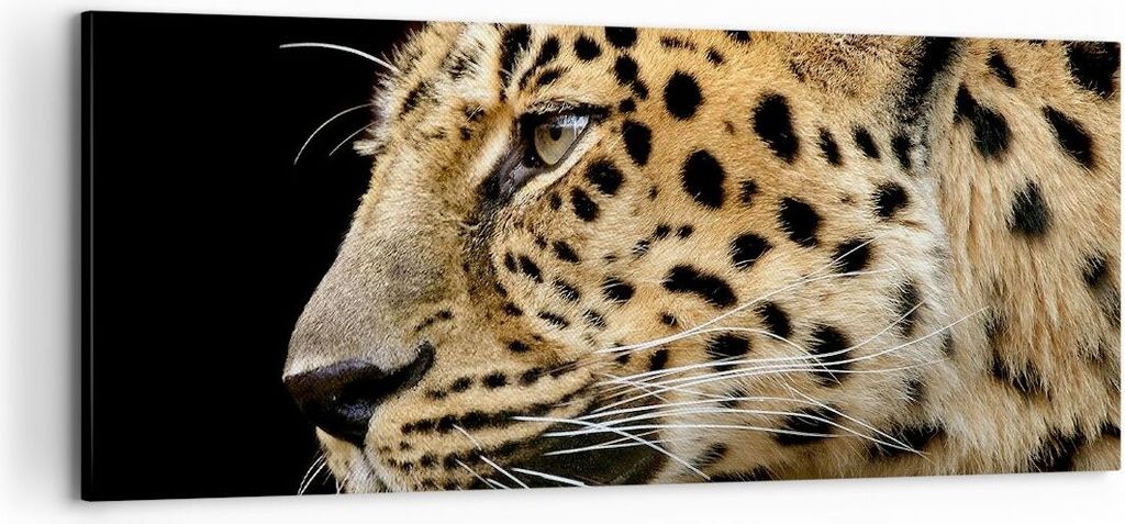 Bild auf Leinwand - Leinwandbild - Tiere Leopard wilde Katze wilde Tiere - 100x40cm - Wand Bild - Wanddeko - Leinwanddruck - Bilder - Kunstdruck - ...