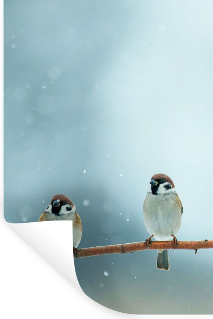 MuchoWow Wandtattoo Wandsticker Wandaufkleber Vögel - Spatz - Schnee - Winter 20x30 cm Selbstklebend und Repositionierbar - Sticker - Dekorfolie