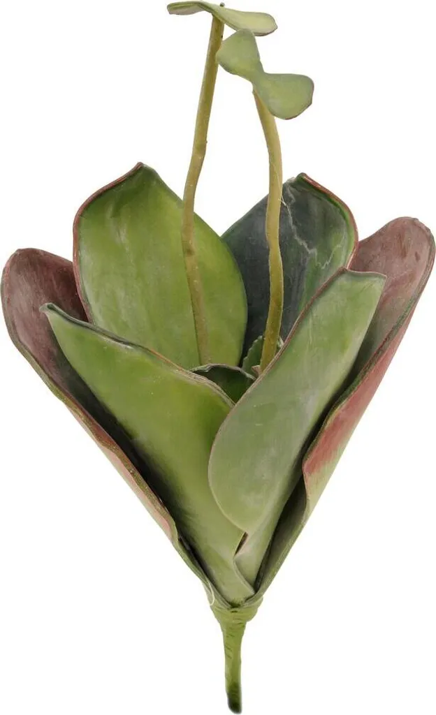 Nénuphar Artificiel Sans Entretien 45cm - Lotus Vert en EVA pour Intérieur