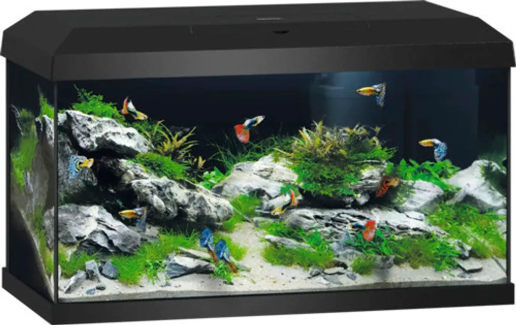 Kit aquarium complet JUWEL Primo 60 LED avec filtration et chauffage 57L