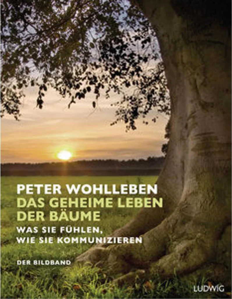Livre La Vie Secrète des Arbres Peter Wohlleben Guide Nature et Écologie