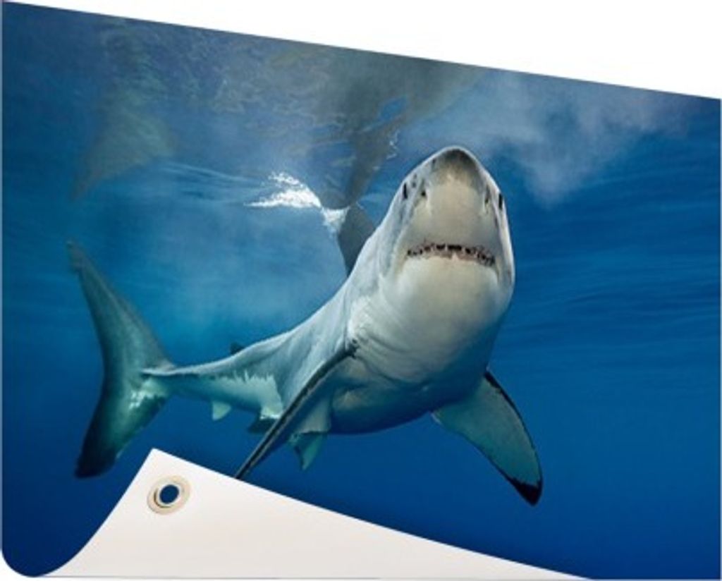 MuchoWow 120x80 cm Outdoor-Poster Gartendeko Sichtschutz Garten Poster für den Garten Weißer Hai