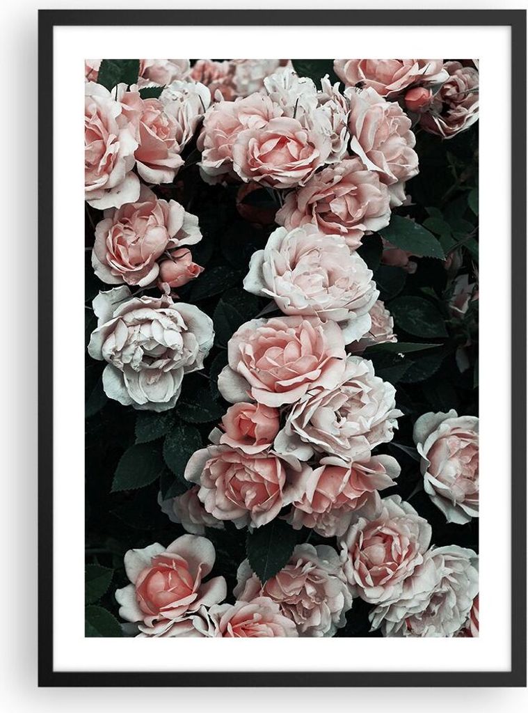Gerahmtes Poster - Schwarzer Rahmen - Rosen Blumen Blätter - 50x70 cm - Wand Bild - Wanddeko - Wandbilder - Kunstposter - Wandposter - Bilderrahme...
