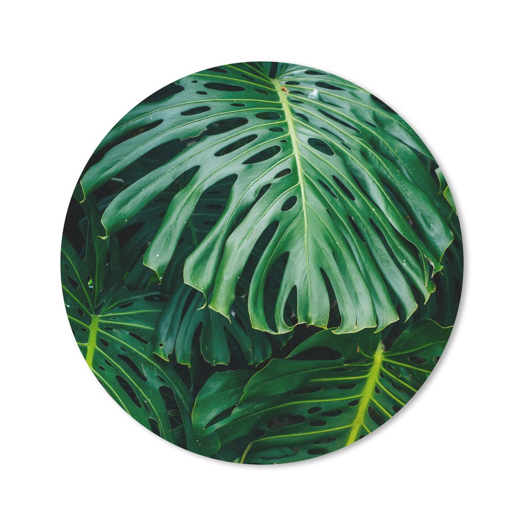 MuchoWow Mauspad Mousepad Dunkelgrüne botanische Blätter in einem Garten 20x20 cm - Mousepads - Maus Mat - Pad - Mausunterlage - Schreibtischmatte