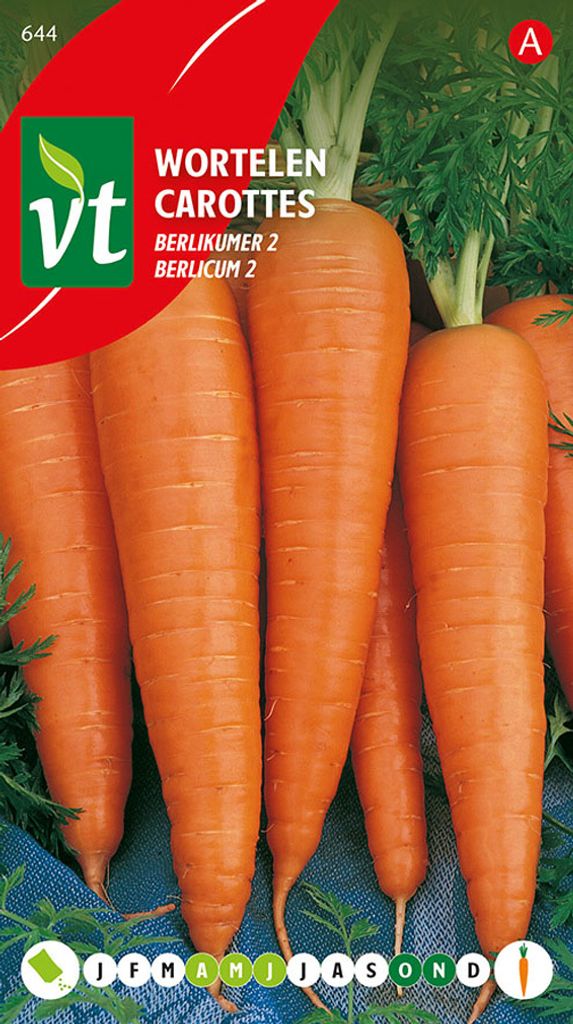 Semi di carota Berlikumer - Circa 6 gr | VT_644 Immagine del prodotto 