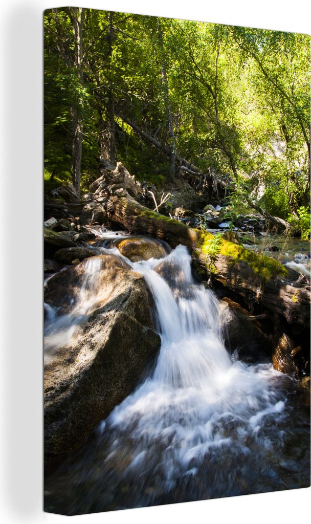 OneMillionCanvasses - Leinwandbilder - 90x140 cm, Wasserfall im Nationalpark Aigüestortes i Estany de Sant Maurici, Spanien, Wandbilder Kunstdru...