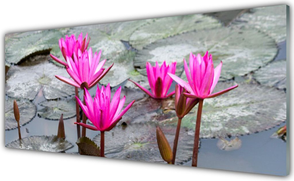 Küchenrückwand aus Glas 125x50cm Spritzschutz Blumen Pflanzen