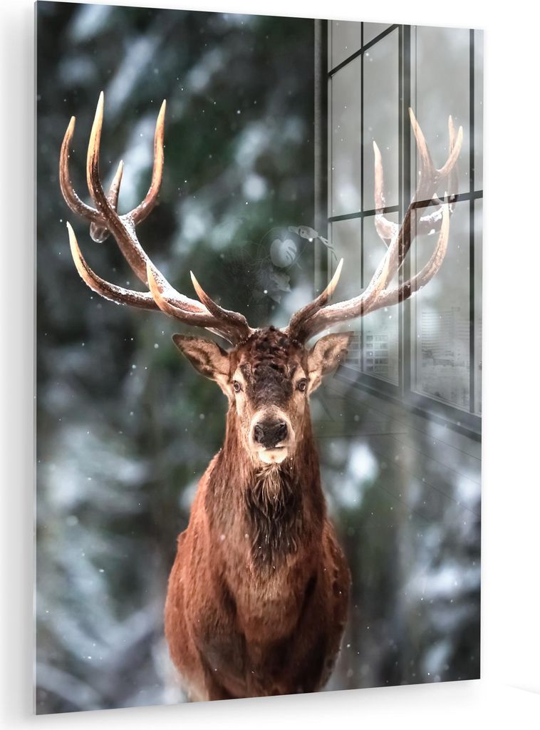 MuchoWow Glasbilder - Bilder auf Wandbild - Foto auf Glas Rotwild - Winter - Schnee - Wald - Natur - Tier 60x80 cm Wanddekoration aus Glas - Acrylg...