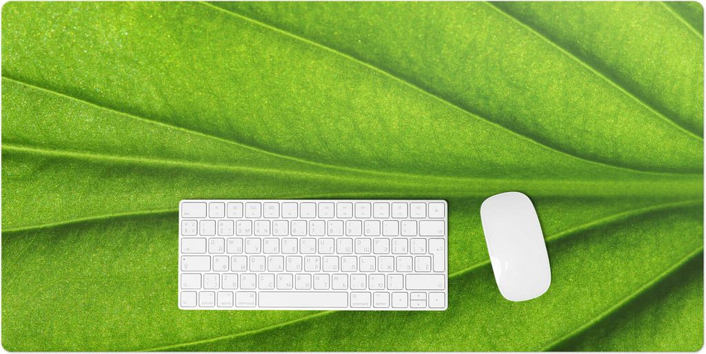 Blatt Aus Nächster Nähe – Schreibtischunterlage – Rutschfeste Tischunterlage – Schreibtischmatte für Büro & Zuhause – Schreibunterlage ...