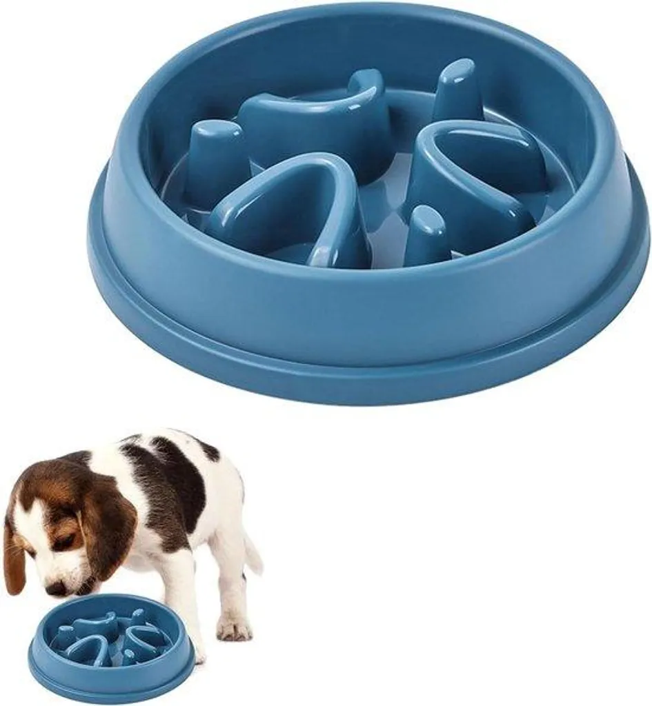 Réduisez l'anxiété de votre animal avec le refuge Blaue Haustiere sécurisé