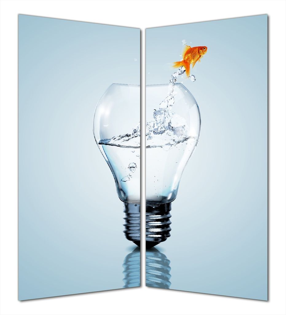 Wallario selbstklebende Duschrückwand 180 x 180 cm mit Motiv Goldfisch springt aus Aquarium - Wandverkleidung mit Hochglanzlaminat in Glasoptik