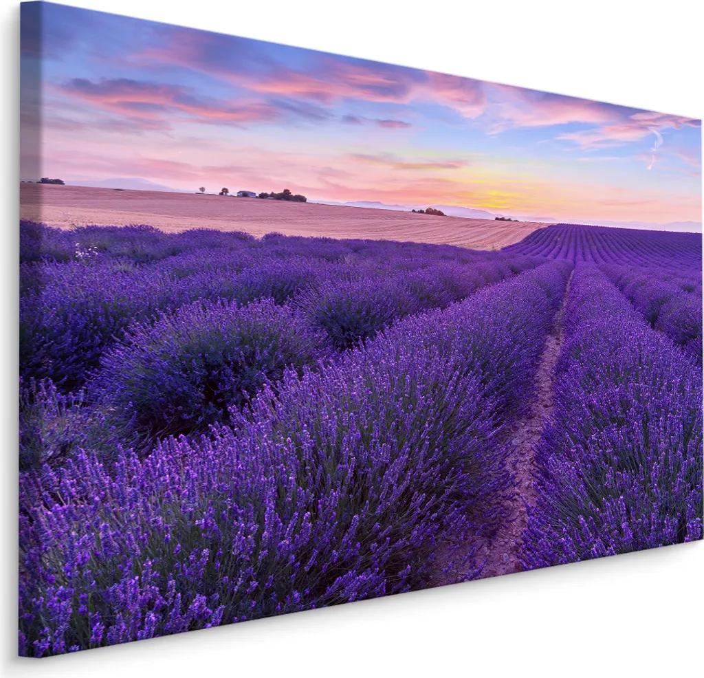 Quadro su Tela Lavanda 90x60 XXL - Carta da Parati d'Arte Natura