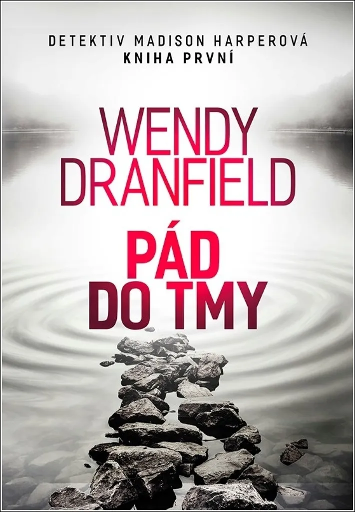 Roman policier captivant Pád do tmy Wendy Dranfield anti-ennui