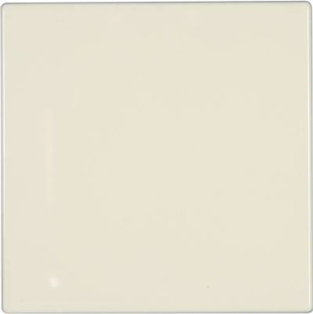 Plaque d'obturation Jung LS 994 B blanc crème pour série LS 990