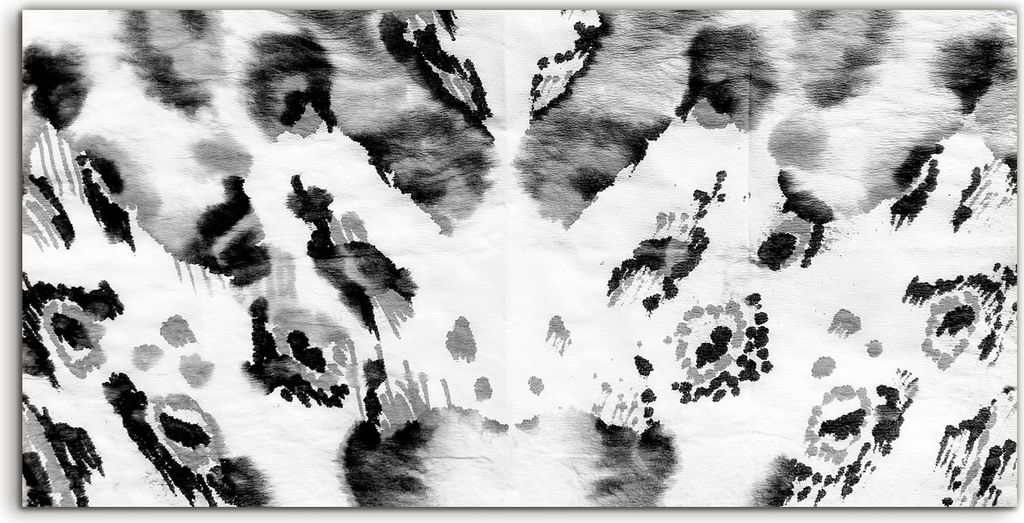 Coloray Spritzschutz aus Glas 140x70 Wandkunst Küchenrückwand Gepard Haut Leopard monochrom