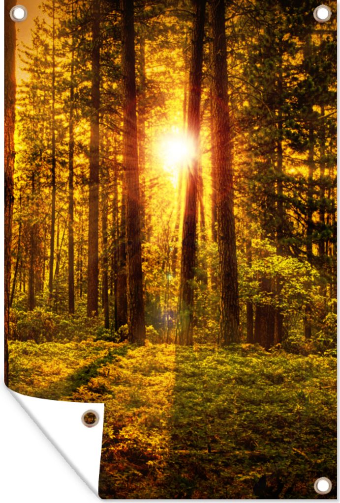 MuchoWow 80x120 cm Outdoor-Poster Gartendeko Sichtschutz Garten Poster für den Garten Wald - Sonne - Bäume - Natur - Sonnenuntergang