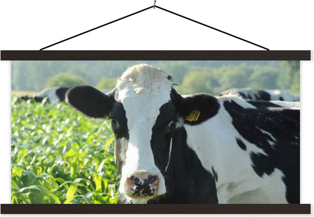 MuchoWow Textilposter Kuh - Gras - Berg - Tiere 150x75 cm mit schwarzem Rahmen - Posterleiste
